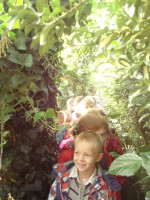 /album/fotogalereya-nashi-detki/dsc07570-jpg/